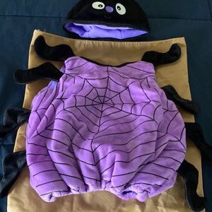 Halloween. Baby spider costume.